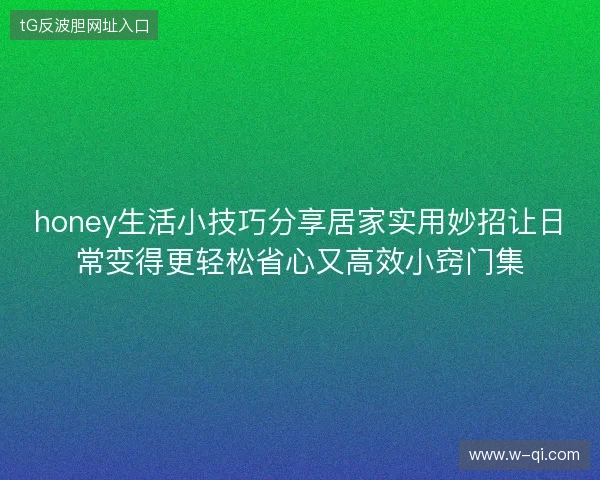 honey生活小技巧分享居家实用妙招让日常变得更轻松省心又高效小窍门集